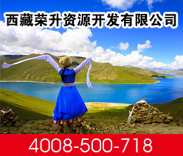 西藏荣升资源有限公司